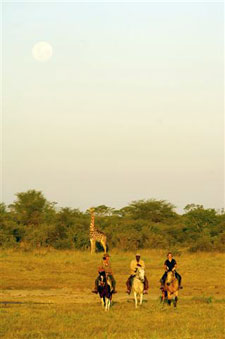 Zimbabwe-Hwange Park-Hwange Big Five Safari